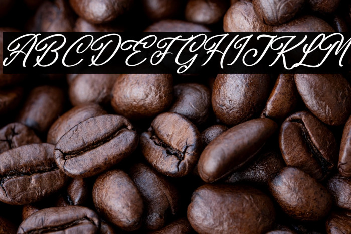 Washington Delmonte Italic Example 3