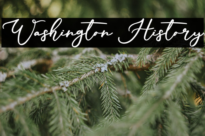 Washington History Example 1