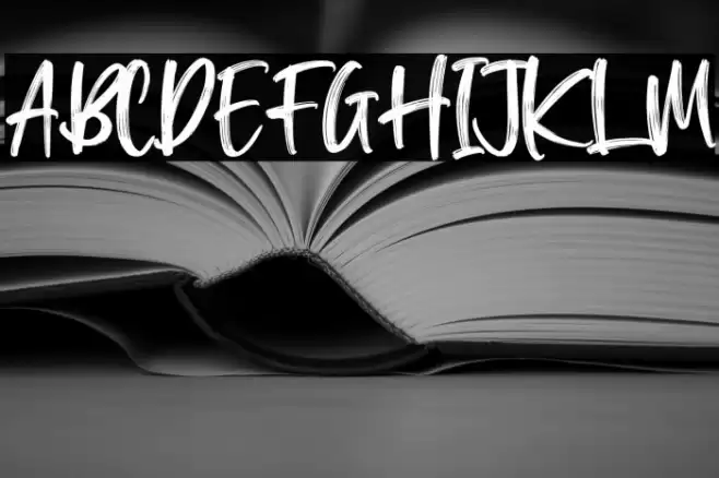 Washington Lifestyle Font examples