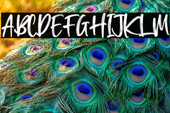 Washington Lifestyle Example 3