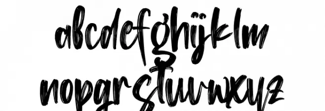 Washington Lifestyle 字体 小写