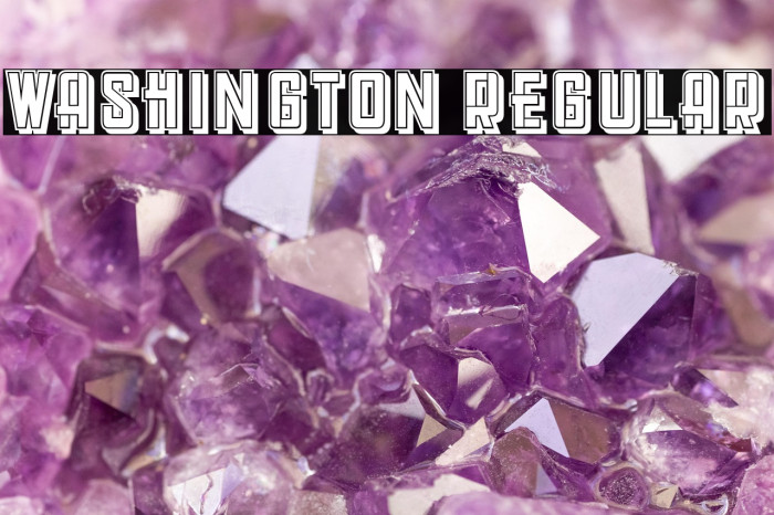 Washington Regular Example 1