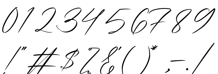 Washington Signature Font OTHER CHARS