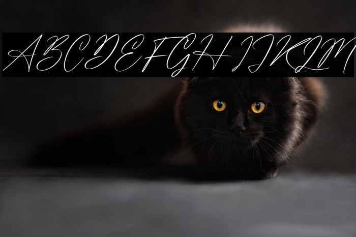 Washington Signature Example 2