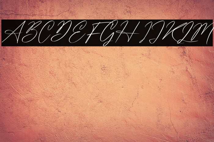 Washington Signature Example 3