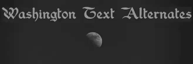 Washington Text Alternates Fuentes examples