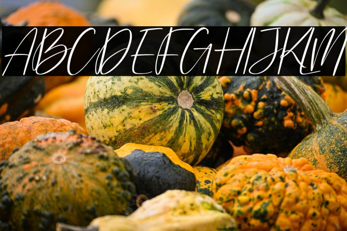 Washington Yesterday Italic Example 3