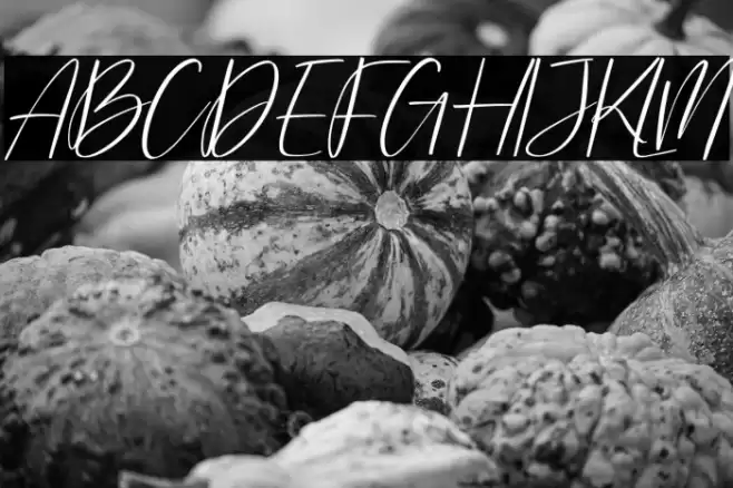 Washington Yesterday Italic Font examples