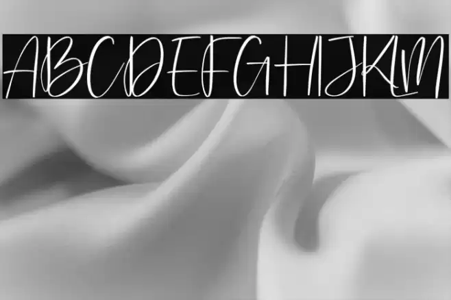 Washington Yesterday Font examples