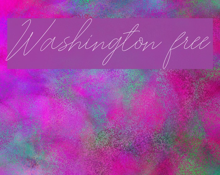 Washington free Font examples