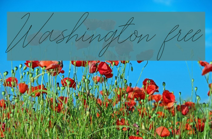Washington free Font examples