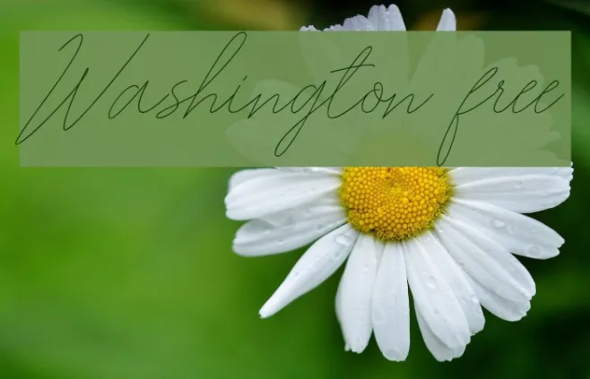 Washington free Example 3