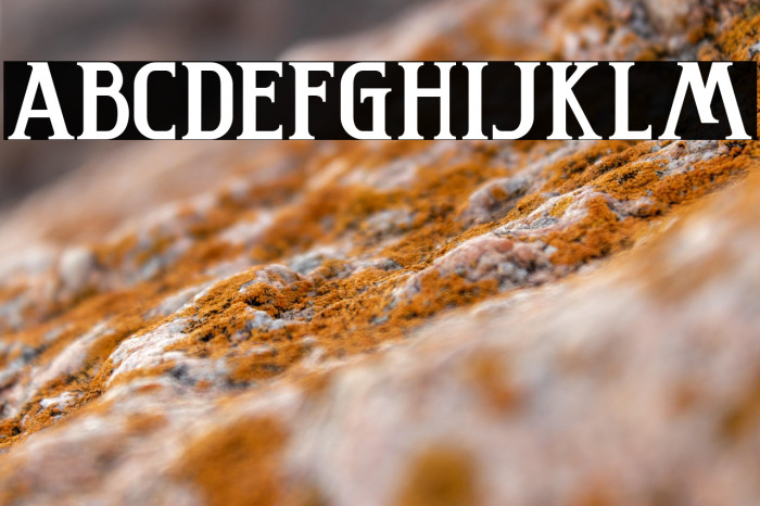 Washington Example 1