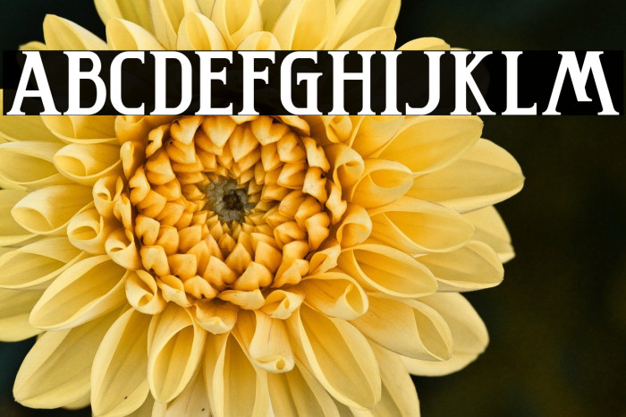 Washington Example 3