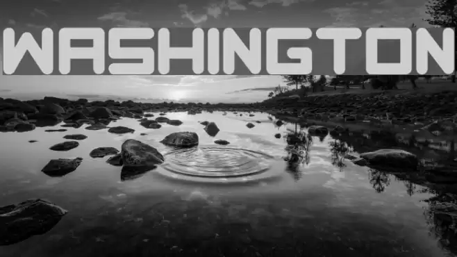 Washington Font examples