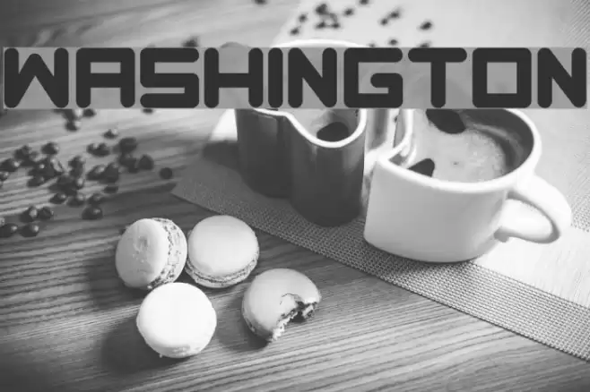 Washington Font examples