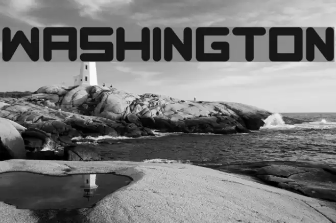 Washington Font examples