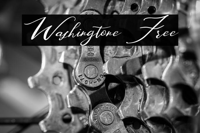 Washingtone Free Example 1