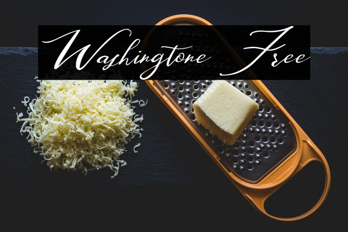 Washingtone Free Example 2