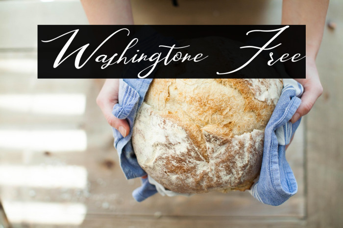 Washingtone Free Example 3