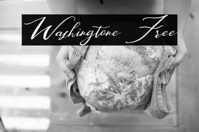 Washingtone Free Font examples