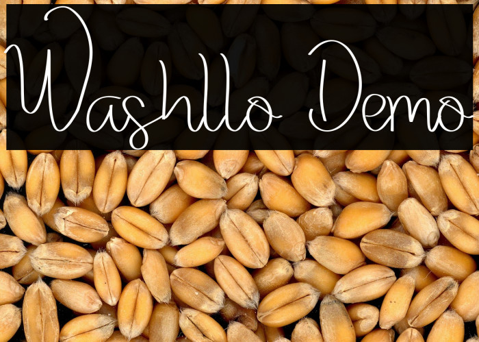 Washllo Demo Example 1
