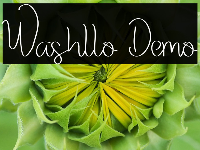 Washllo Demo Example 3