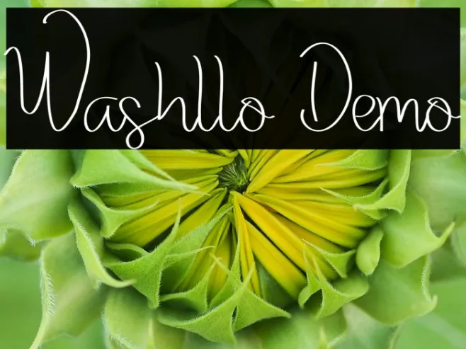 Washllo Demo Example 3