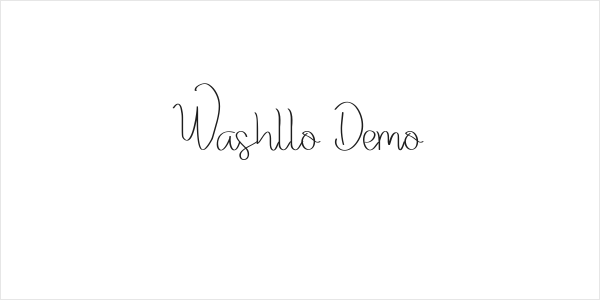 Washllo Demo Logo