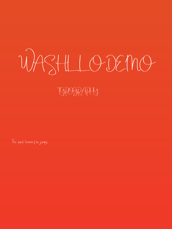 Washllo Demo Poster