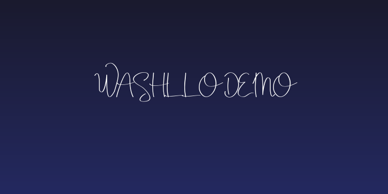 Washllo Demo Social Header