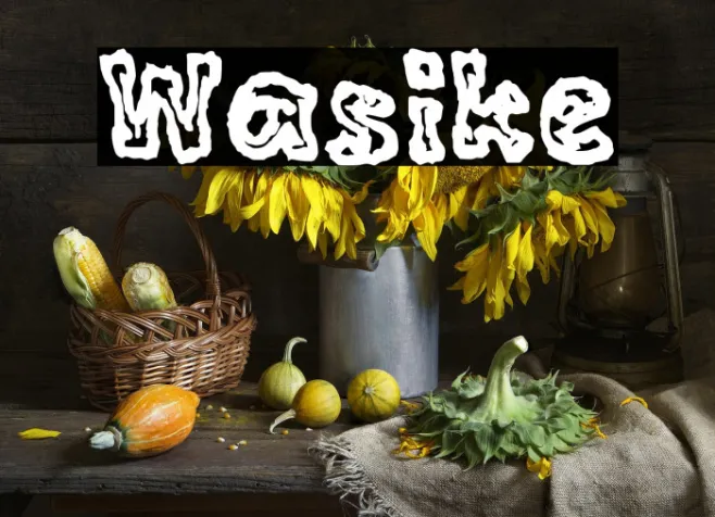 Wasike Example 2