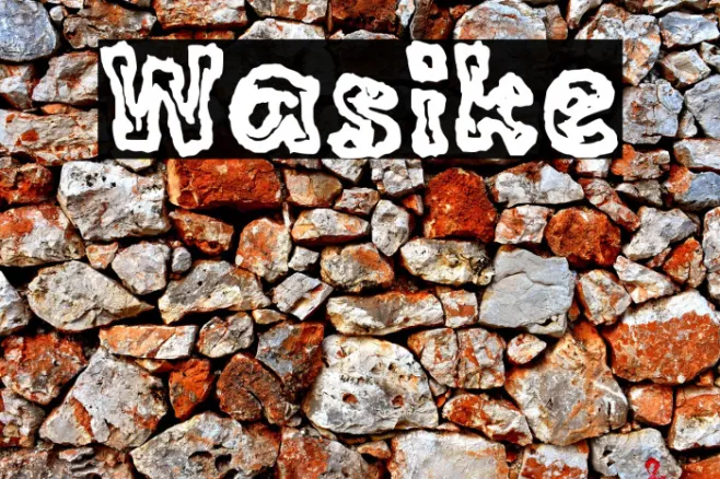 Wasike Example 3