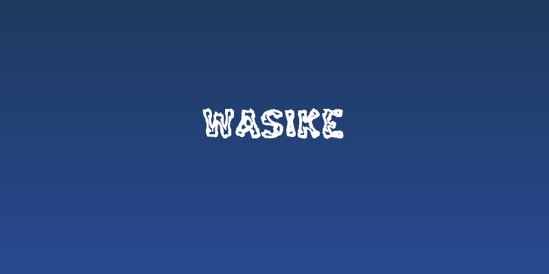 Wasike Social Header