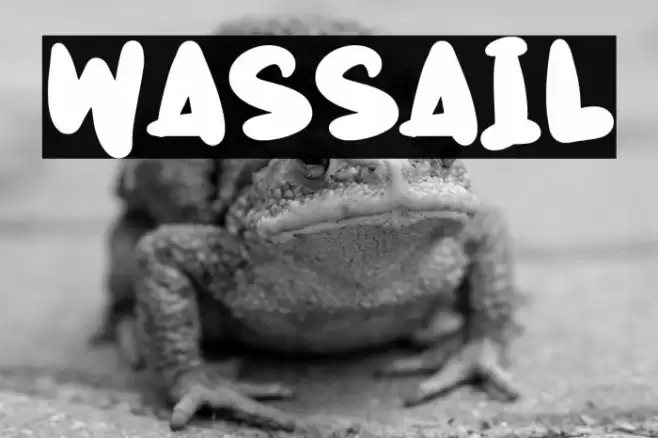 Wassail Font examples