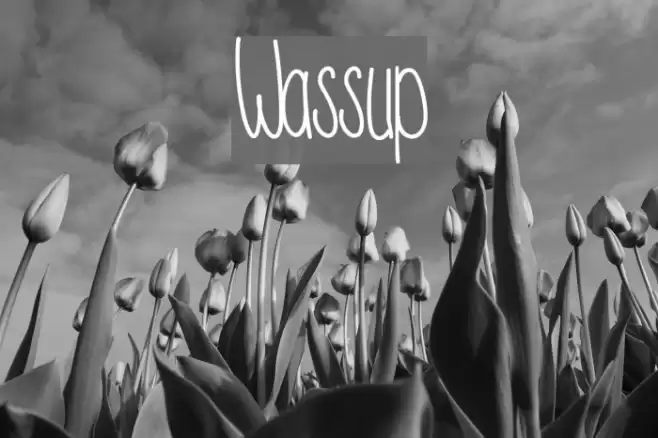 Wassup Font examples