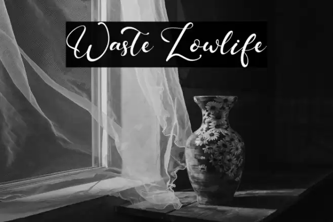 Waste Lowlife Font examples
