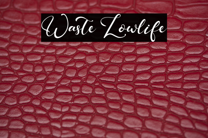 Waste Lowlife Example 3