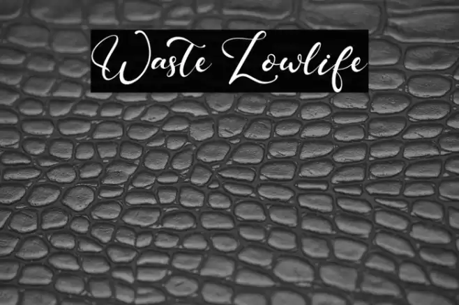 Waste Lowlife Font examples
