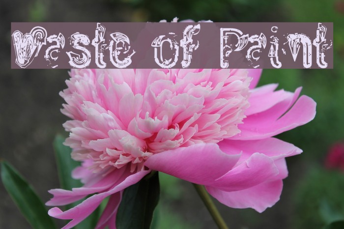 Waste of Paint Font examples
