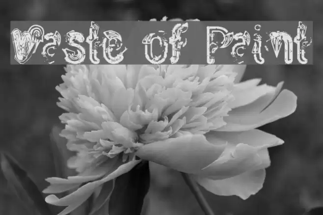 Waste of Paint Шрифта examples