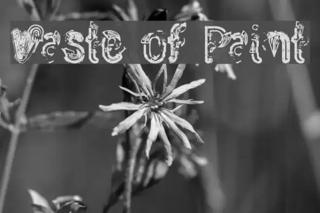 Waste of Paint Шрифта examples