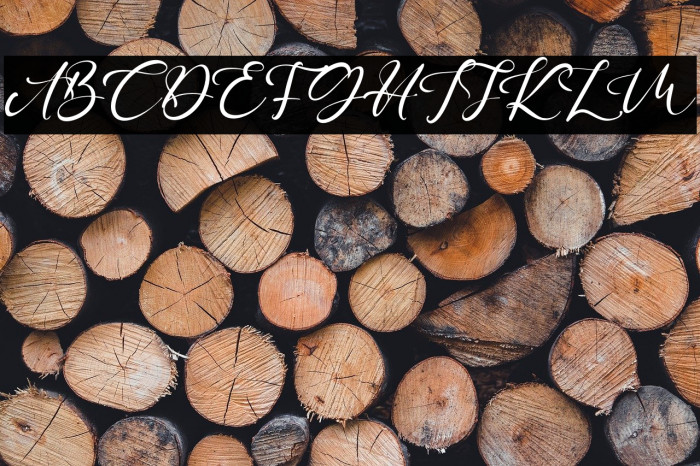 WasteLowlife Example 1