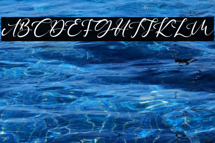 WasteLowlife Example 3