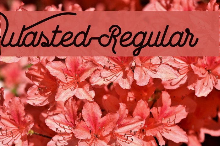 Wasted-Regular Font examples