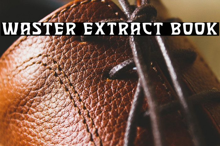 Waster Extract Book Example 2