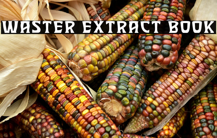 Waster Extract Book Example 3