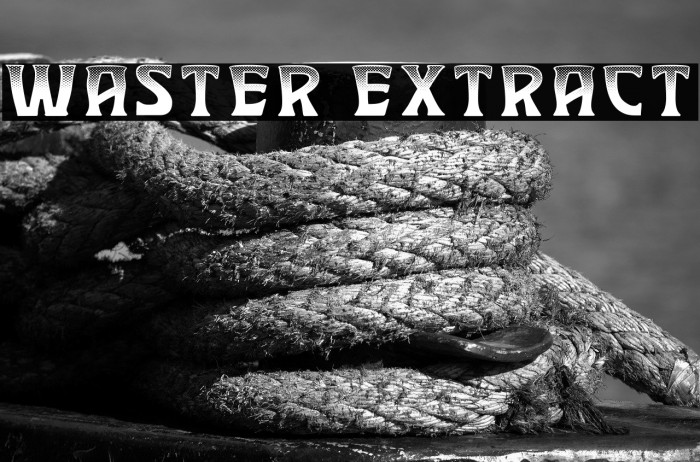 Waster Extract Example 2