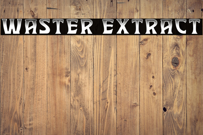 Waster Extract Example 3