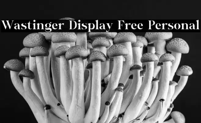 Wastinger Display Free Personal Font examples